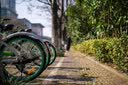 索尼(SONY) α A6400 A6300 A6600 a6000视频直播4K二手微单相机 A6000 单机（随机颜色） 99新 实拍图