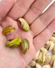 三只松鼠罐装开心果1.1kg 坚果炒货干果量贩无漂白休闲零食团购送礼  实拍图