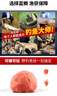 龙王恨鱼饵蓝鲫X5香腥综合通杀饵料江河黑坑野钓鲫鲤草鳊鲢鱼食钓鱼饵料 实拍图
