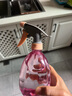 喷壶浇花浇水喷雾器气压式喷水壶家用园艺养花500ml 南瓜喷壶透粉【3个装】 实拍图