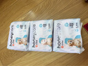 HONEYCARE狗狗纸尿裤公狗尿不湿尿片安全裤 S适用体重4-7kg/12片装 实拍图