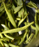 峨眉雪芽2025年新茶【门店同款】明前慧欣绿茶 嫩芽茶叶送礼茗茶礼盒252g 实拍图
