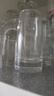 DKO白酒分酒器玻璃小酒盅酒壶分酒器100ml量酒器红酒醒酒器酒杯酒具 （强化水晶6只装）分酒器 100ml 实拍图