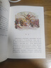堂吉诃德（插图珍藏版）（全2册） 实拍图
