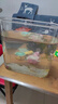 宠街坊鱼缸一体缸造景生态小鱼缸桌面水族箱金鱼斗鱼PET透明鱼缸送礼 实拍图