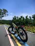 凤凰电助力自行车锂电变速电动山地车青少年通勤代步NFC仪表电瓶车 Q1青耀一体轮+中置减震+速度传感+线碟 25AH/禧玛诺7级变速/26寸 实拍图