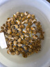 盛怡菲达【顺丰速发】花螺新鲜冷冻东风螺小香螺整箱商用批发海鲜水产 花螺 1000g 实拍图