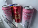 青岛啤酒（TsingTao）爆款组合500ml*12听 白啤4听+福禧4听+皮尔森4听 实拍图