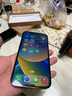 Apple苹果iPhone16/15/14/13/12pro/max系列 二手手机内存以质检报告为准 苹果 iPhone 12 Pro Max 实拍图
