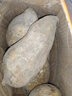 鸡蛋黄板栗红薯正宗广东潮汕现挖现发鲜香甜粉糯白皮黄心番薯地瓜 中果 3斤 实拍图