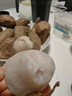 正宗云南牛奶小芋头新鲜红芽毛芋头当季芋艿香芋现挖现发3批发5斤 9斤 小果30-50g(乒乓球大小) 实拍图