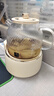 World Kitchen康宁养生壶 全玻璃恒温壶煮茶壶煮茶器1L 办公室热牛奶神器保温壶家用花茶壶烧水壶电热水壶煮水壶 【标准款】【24小时预约丨自动保温】 1L 实拍图