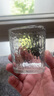 【⭐采销推荐】高颜值初雪锤纹玻璃杯日式家用水杯威士忌酒杯 初雪锤纹杯1只 实拍图