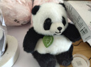 贝尚星 儿童生日玩偶男公仔中秋节礼物女生毛绒玩具摆件成都大熊猫13cm 实拍图