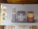 东菱（Donlim）绞肉机家用多功能 保鲜佐料机套娃收纳 抽真空机 辅食机 绞馅碎肉 料理机切菜备餐搅拌机DL-5029 实拍图