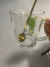 舒齐儿童牛奶杯学饮杯家用宝宝冲泡奶粉杯带刻度杯吸管带把玻璃水杯 实拍图