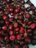 采缇国产车厘子5kg4j大连美早樱桃生鲜樱桃次日达新鲜水果当季礼盒整 4.8斤(净重) 礼盒装 J 26mm(含)-28mm(不含) 实拍图