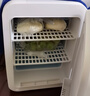 先科迷你小冰箱mini冷冻冷藏车载家用宿舍母乳办公室学生小型冰柜 爵士白双核 车家两用 PD- 20L 实拍图