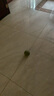 欢宠网 猫玩具猫咪猫薄荷球猫磨牙棒逗猫棒自嗨神器解闷木天蓼猫草粉猫零食蹭痒耐啃咬猫猫小猫幼猫宠物用品 实拍图