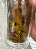 富光男女士双层玻璃杯 高硼硅玻璃304茶隔水杯子 带茶隔泡茶杯500ml 实拍图