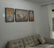 Sixpoetry 客厅装饰画现代简约沙发背景墙壁画轻奢三联晶瓷画大气高档挂画 福禄生花（铝合金外框） 镶钻画左右40*60+中间80*60亮面 实拍图