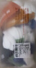 棉十三袜子男【100%纯棉抗菌防臭】短袜春秋夏季透气ins潮纯色低帮船袜 实拍图