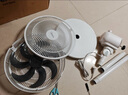 美的（Midea） 电风扇 家用风扇7叶落地扇立式轻音节能大风量电扇台扇迷你扇台立两用转页扇 【店长推荐丨7叶劲风 百万单品】 SAF30AC 家用落地扇 实拍图