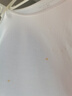 红豆（hongdou）背心女带胸垫莫代尔打底内衣女轻薄深V领蕾丝吊带 雪肌白170 实拍图