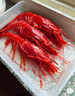 朵芙特大 红魔虾 深海捕捞刺身级胭脂魔鬼红虾鲜活冷冻生鲜大虾送礼 【精选家庭装】14-18/盒 400g(净重) 实拍图