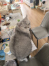 Orijen渴望猫粮 减肥期低卡 无谷成猫室内猫室内伴侣进口1.8kg效期26/2 实拍图