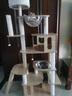 CHONLDERL猫爬架猫窝猫树一体大型太空舱猫架子四季通用剑麻猫咪玩具用品 【175CM 10层双太空舱】奥斯汀AST-1 实拍图