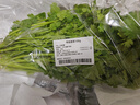 带根香菜100g 实拍图