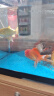 阔庭（KUOTING）鱼缸水族箱生态桌面鱼缸新款懒人鱼缸过滤制氧一体黑色【特大号】 实拍图