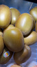 佳沛（zespri）新西兰阳光金奇异果原箱 16粒巨无霸 单果重约202-230g   猕猴桃 实拍图