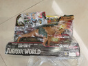 Jurassic World生日礼物侏罗纪世界声光效反击重爪龙玩具大号恐龙仿真模型HTP68 实拍图