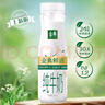 伊利金典3.8g乳蛋白 鲜活纯牛奶整箱 250ml*8瓶 30天常温短保 礼盒装 实拍图
