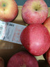 甜醉了 烟台苹果栖霞红富士新鲜水果生鲜山东特产脆甜整箱平果礼盒礼品 净重8.5斤75-80mm 实拍图