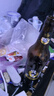 珠江啤酒（PEARL RIVER）9度 珠江97纯生啤酒 528ml*12瓶 整箱装 实拍图