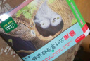 丽声三叶草分级读物 第三级 圣智PM分级读物（套装共16册 点读版 附MP3光盘1张） 实拍图