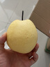 山西平遥冰糖酥梨 助农新鲜水果 出口级高原贡梨 皮薄肉厚汁水多 精品大果带箱10斤（约13-17粒） 实拍图