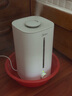美的（Midea）巨雾空气加湿器家用卧室杀菌净化孕妇婴儿桌面小型工业喷雾器国家补贴空调风扇伴侣女生礼物40S 实拍图