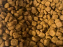 皇家狗粮 贵宾老年犬狗粮 犬粮 宠物小型犬 PDA26全价犬粮 ≥8岁6.5KG 实拍图