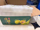 四叔公果蔬贵州蜂糖李【JD顺丰冷链-多地次日达】马六脆李脱骨李子水果礼盒 精品中果（单果20-30g） 5斤装【超值推荐-80%买】净4.5斤 实拍图