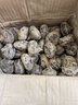 广西荔浦正宗马蹄 荸荠农家自种现挖生鲜新鲜蔬菜 精品果 3斤【单果25g左右】 实拍图