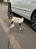 麦富迪狗粮 无谷牛肉双拼粮4.5kg 成犬小型犬泰迪比熊博美 实拍图