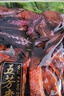 五芳斋卤味私房菜真空包装鸭肉熟食开袋即食酱鸭 300克*2包组合酱鸭 实拍图