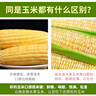 中鲜生云南水果玉米 新鲜甜玉米 现摘玉米棒 生鲜蔬菜可生吃火锅食材 9斤 【净重】约10-13根 实拍图