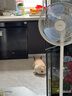皇家狗粮 斗牛犬成犬狗粮 宠物中型犬 FBA26 全价犬粮 ≥12月 6.5KG 实拍图