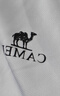 骆驼（CAMEL）运动速干T恤透气宽松户外休闲圆领情侣短袖夏季男款，白色M 实拍图