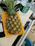 三萌果蔬正宗金钻凤梨 海南当季新鲜爆甜手撕金菠萝香水果整盒节日送礼 3斤尝鲜装净重2.5斤 【约1-2个】 实拍图